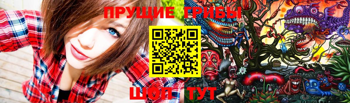 Знаменск  Галлюциногенные грибы Magic Shrooms  Вход с VPN 